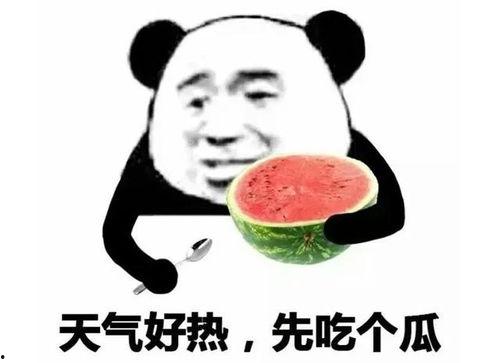 北方吃瓜表情包,趣味横生的地域文化现象
