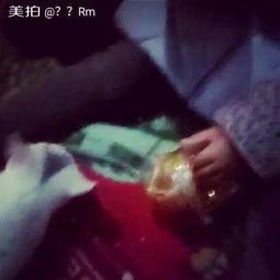 猫吃瓜现场视频