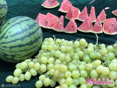 云木吃瓜,揭秘网络热点的幕后故事