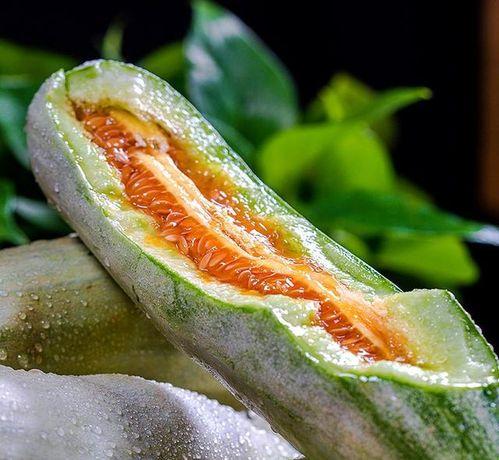 吃瓜的哈蜜,网络红人的崛起与影响力