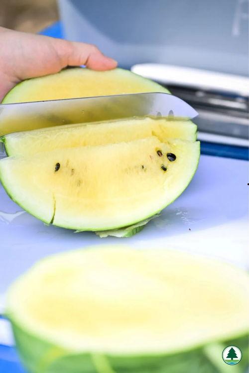 吃瓜舞台香港,揭秘娱乐圈幕后风云