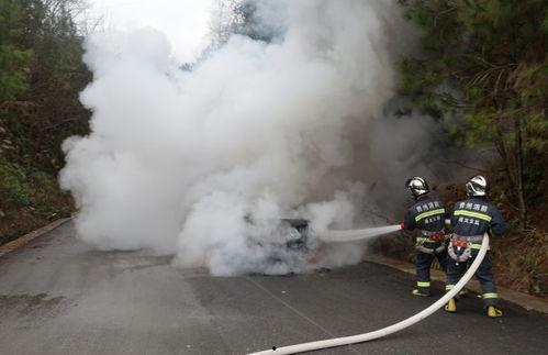 隔壁灭火旁边吃瓜,旁人却悠闲吃瓜，揭秘消防员与围观者的心理战