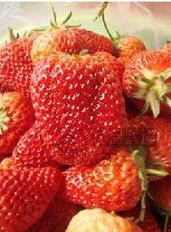 歪瓜怎么吃最好,解锁最佳口感与营养之道