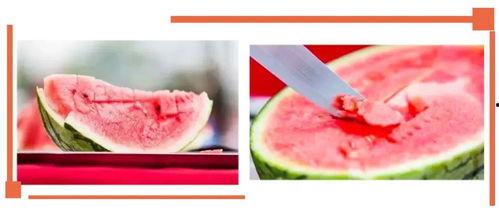 沙河卡酷吃瓜,揭秘娱乐圈幕后故事