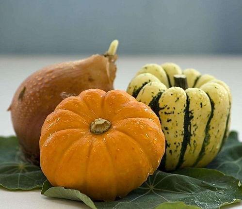 南瓜大厦吃瓜房子,揭秘吃瓜房子的奇幻之旅