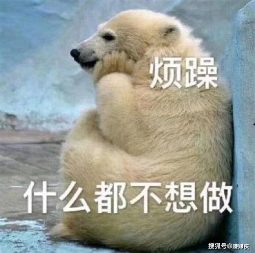 吃瓜群众流泪图片,吃瓜群众共情瞬间