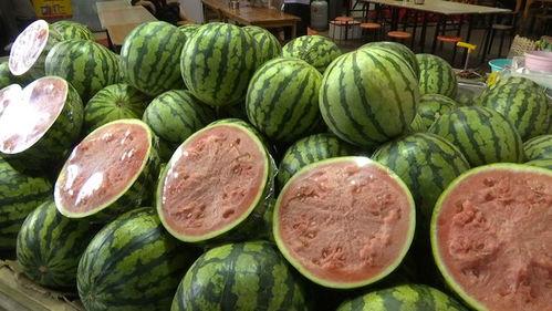 杭州自由吃瓜的地方