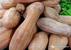鲜方瓜怎么吃,解锁健康美味新体验