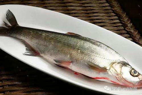 奈奈无鱼的吃瓜视频,揭秘娱乐圈幕后故事