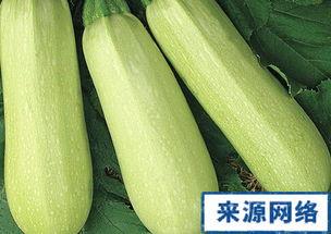 孕妇能角瓜吃吗,孕妇能否安心享用角瓜美食？