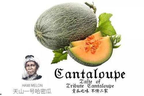 代也吃瓜,揭秘网络时代下的“吃瓜群众”现象