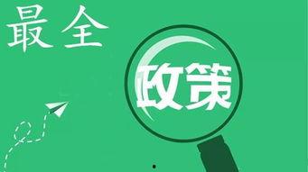 吃瓜群众有哪些政策,揭秘新时代下的社会观察与参与之道