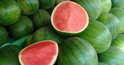 糖尿病可以吃白灵瓜吗,糖尿病患者的白灵瓜食用指南