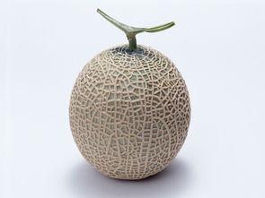 怀孕吃哈密瓜吗,营养美味两不误的孕期美食选择