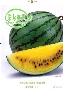 吃瓜合,揭秘娱乐圈背后的秘密与真相