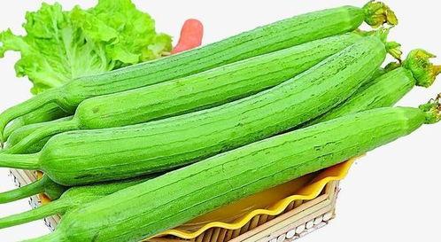 日本瓜能天天吃吗,健康美味，但天天食用需注意