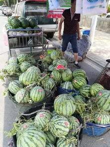 翰林府吃瓜事件