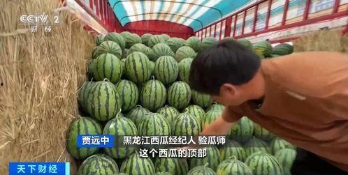 香婷婷吃瓜,揭秘娱乐圈幕后真相