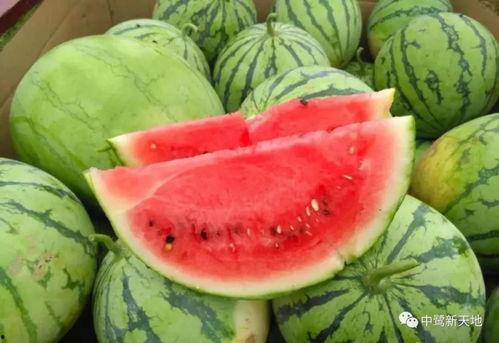 介休今天吃瓜事件,一场网络热议背后的真相揭秘