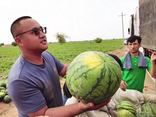 无名氏吃瓜,一场网络热传的神秘事件