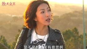 吃瓜大姐2,揭秘娱乐圈背后的秘密与真相