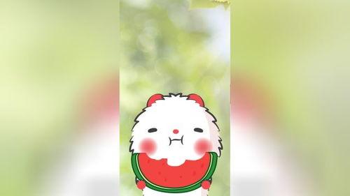 吃瓜屁直播,揭秘网络直播界的趣味与争议