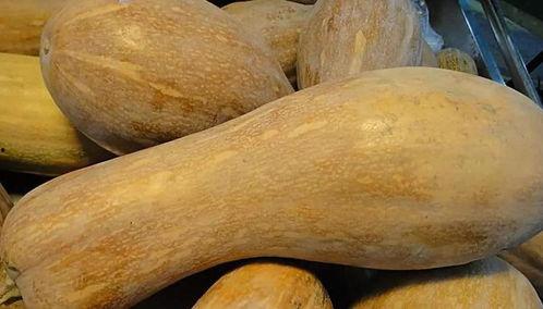 春天可以吃白瓜吗,白瓜的春季养生之道