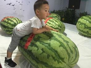 吃瓜群众喊加油