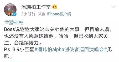 今日吃瓜热评,揭秘娱乐圈最新八卦风云